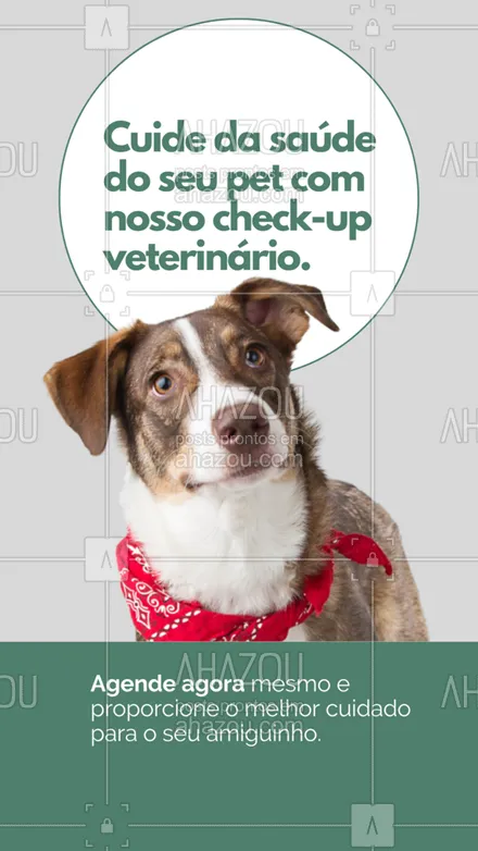 posts, legendas e frases de veterinário para whatsapp, instagram e facebook: pack para status de whatsapp #AhazouPack #AhazouPet