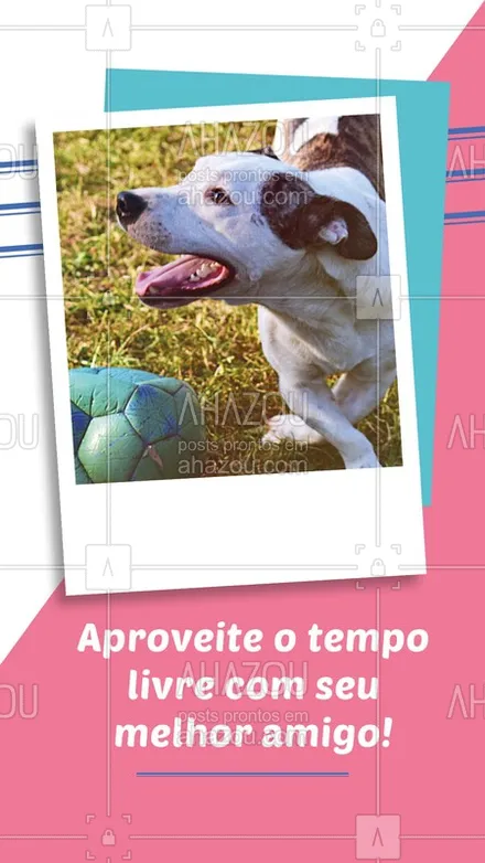 posts, legendas e frases de assuntos variados de Pets para whatsapp, instagram e facebook: Qual é a brincadeira favorita do seu #pet? ??#petlover  #petcare  #veterinario  #ahazou #cachorro  #dog  #ahazoupet	