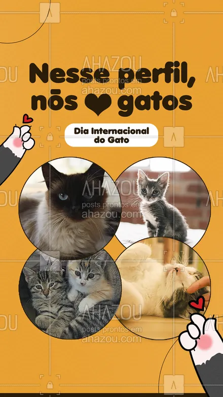 posts, legendas e frases de petshop para whatsapp, instagram e facebook: Nesse dia tão especial, gostaríamos de deixar claro que nós amamos gatos! A todos os gatinhos e gatinhas espalhados pelo mundo e aos amantes de gatos: Feliz Dia Internacional do Gato!😺❤ #diainternacionaldogato #gato #gatos #pets #AhazouPet #petshop  #instapet 