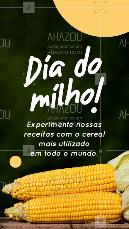 posts, legendas e frases de assuntos variados de gastronomia para whatsapp, instagram e facebook: O tão esperado dia chegou! Hoje, 24 de abril é comemorado o Dia do Milho! Venha experimentar nossos pratos com essa delícia! #ahazoutaste #diadomilho #milho #culinaria #foodlover #instafood #ahazoutaste 