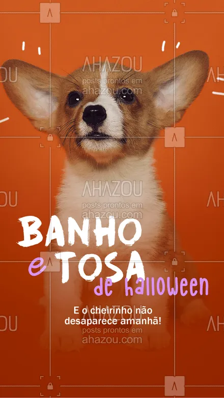 posts, legendas e frases de assuntos variados de Pets para whatsapp, instagram e facebook: Nesse Halloween aproveite a promoção de Banho e Tosa e tire o cheirinho assustador do seu pet!
#Promoção #AhazouPet #Halloween