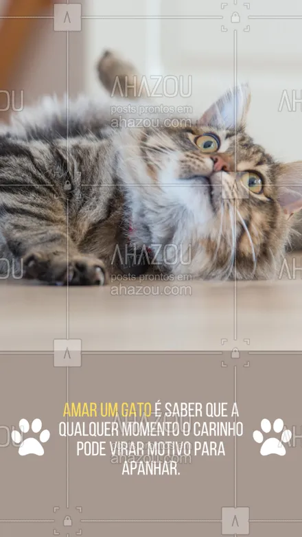 posts, legendas e frases de assuntos variados de Pets para whatsapp, instagram e facebook: 
🐾 Tutores de gatos vivem intensamente. Flertando com o perigo. 🧡

#Gatos #AhazouPet #Pets #MãedeGato #PaideGato #Meme #Gato 

