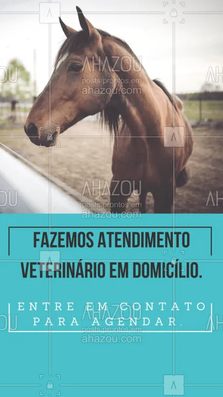 posts, legendas e frases de assuntos variados de Pets para whatsapp, instagram e facebook: Atendemos animais de grandes portes. Ligue para nós em caso de emergência. #veterinario #ahazou #atendimento #cavalo 