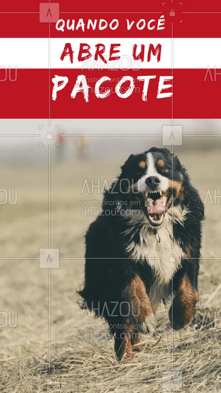 posts, legendas e frases de assuntos variados de Pets para whatsapp, instagram e facebook: Quando seu cachorro escuta você abrindo um pacote! ???? #cachorro #ahazou #pet