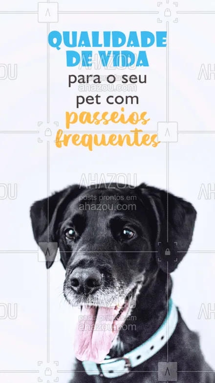 posts, legendas e frases de dog walker & petsitter para whatsapp, instagram e facebook: Passeios são tudo de bom! ? Agende já os passeios do seu pet! #dogwalker #ahazoupet #pet #passeios