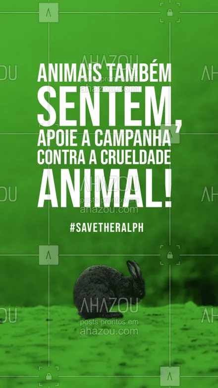 posts, legendas e frases de posts para todos para whatsapp, instagram e facebook: Salve o Ralph e seus amigos. Apoie a campanha contra a crueldade com os animais! #savetheralph #ahazou #campanha #animais #crueltyfree