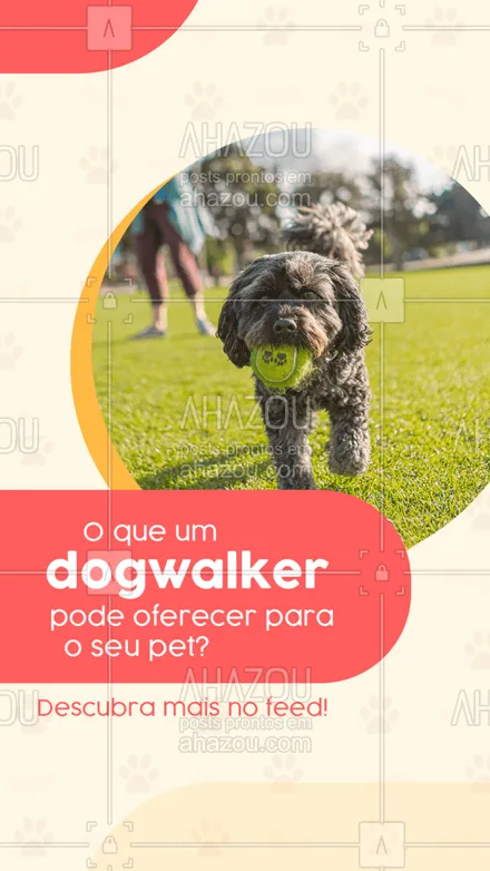 posts, legendas e frases de dog walker & petsitter para whatsapp, instagram e facebook: Um dogwalker pode ensinar ao seu cão comandos básicos como não latir para outros cães, não latir para pessoas, sentar, rolar, andar junto sem puxar a guia, etc.
#AhazouPet  #dogsofinstagram   #dogtraining   #dogwalkersofinstagram  #dogdaycare  #dogsitter  #doglover  #dogwalk  #dogwalker  #dogwalkerlife  #petsitter  #petsitting 