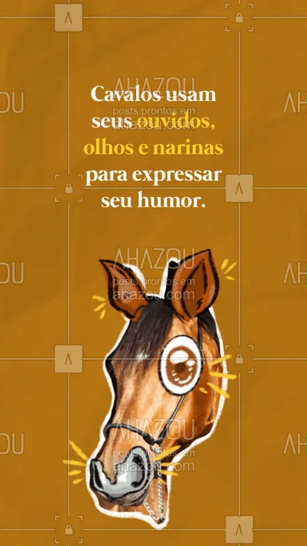 posts, legendas e frases de assuntos variados de Pets para whatsapp, instagram e facebook: Se quiser saber como está o humor do cavalo é só olhar para os ouvidos, olhos e narinas! #AhazouPet  #ilovepets  #petlovers  #petoftheday  #petsofinstagram 