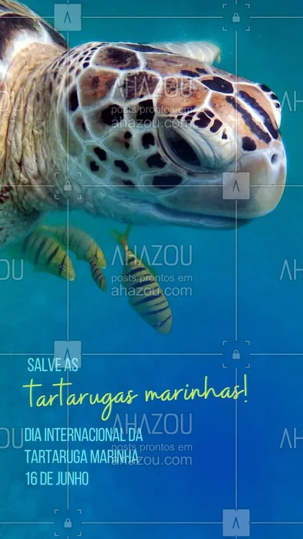 posts, legendas e frases de assuntos variados de Pets para whatsapp, instagram e facebook: Uma das espécies mais lindas do planeta está ameaçada. Hoje, faça a sua parte e pense no que você pode fazer para ajudar a salvar as tartarugas marinhas. Feliz Dia Internacional da Tartaruga Marinha! 💚 #diainternacionaldatartarugamarinha #diadatartarugamarinha #tatarugamarinha #tartaruga #mar #oceano #AhazouPet #ilovepets  #petlovers 