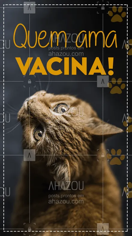 posts, legendas e frases de veterinário para whatsapp, instagram e facebook: Mantenha a vacina do seu pet em dia. Pois assim evita do seu aumiguinho ficar doentinho! ❤? #ahazou #dog #saude #vacina