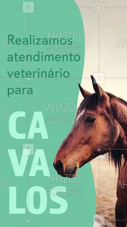 posts, legendas e frases de veterinário para whatsapp, instagram e facebook: Realizamos exames, vacinas e medicamentos, para ajudar no cuidado e recuperação do seu cavalo ? #ahazoupet #veterinária #cavalo #cuidados #atendimento #equino 