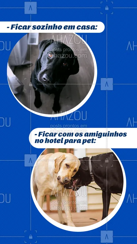 posts, legendas e frases de dog walker & petsitter, assuntos variados de Pets para whatsapp, instagram e facebook: Que ficar sozinho em casa, eu quero me divertir no hotel com meus aumigos!  #dogs #AhazouPet #animais #pets #engraçado
