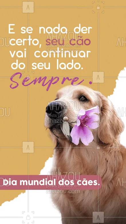 posts, legendas e frases de assuntos variados de Pets para whatsapp, instagram e facebook: Seu amigo fiel, que nunca vai te abandonar!🐶❤️ #diamundialdoscães #cães #AhazouPet  #dogs #petlovers