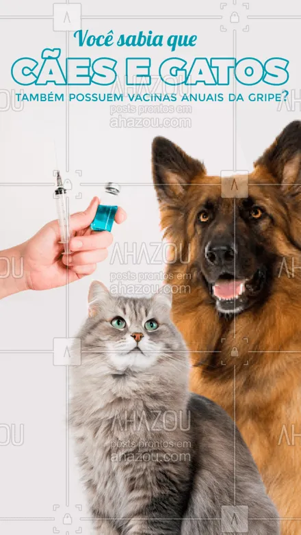 posts, legendas e frases de veterinário para whatsapp, instagram e facebook: A gripe também é uma doença respiratória comum entre cães e gatos, principalmente na época de inverno. Por isso, todo ano sai uma vacina contra os vírus e bactérias mais recorrentes, que evitam tosse, espirros e desconfortos em geral para seu pet.  #AhazouPet  #medicinaveterinaria #medvet #vetpet #clinicaveterinaria #petvet #veterinario #vet #veterinaria