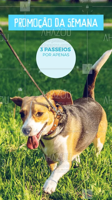 posts, legendas e frases de dog walker & petsitter para whatsapp, instagram e facebook: Aproveite a promoção especial e agende o passeio do seu amiguinho! ? #dogwalker #ahazoupet #passeio #pet #petlovers