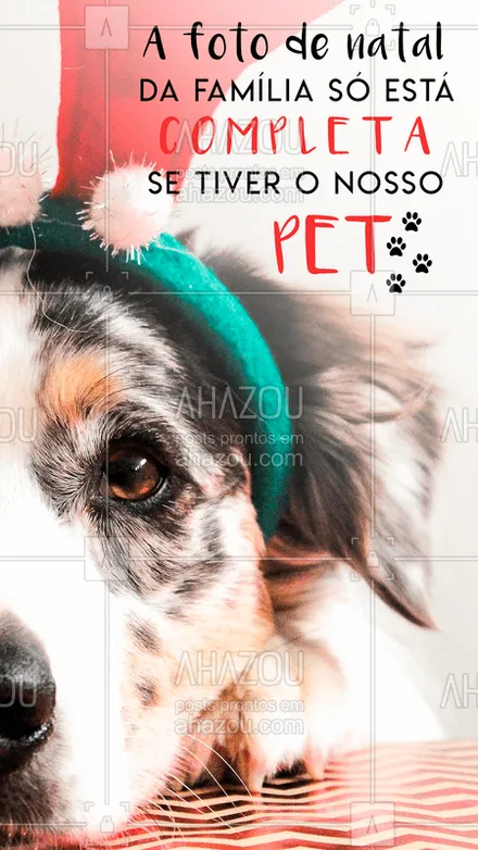 posts, legendas e frases de assuntos variados de Pets para whatsapp, instagram e facebook: Não tem jeito, os nossos pets fazem parte da família! ?
#petshop #ahazoupet #natal #pets