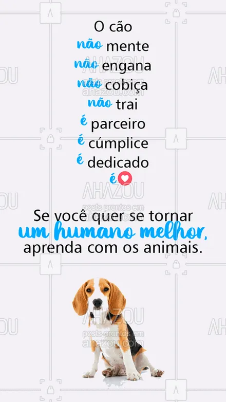 posts, legendas e frases de assuntos variados de Pets para whatsapp, instagram e facebook: Quem concorda? ? #caes #ahazoupet #animais