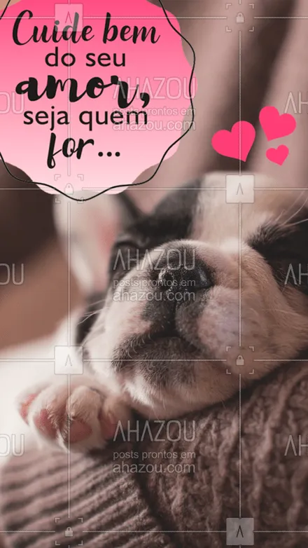 posts, legendas e frases de assuntos variados de Pets para whatsapp, instagram e facebook: Amor, I Love You! #pet #ahazou #lovepet