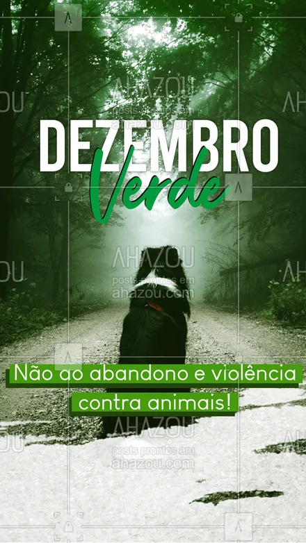 posts, legendas e frases de posts para todos para whatsapp, instagram e facebook: Diga não a violência e abandono contra os animais!
#ahazou  #frasesmotivacionais #motivacional #motivacionais #dezembroverde