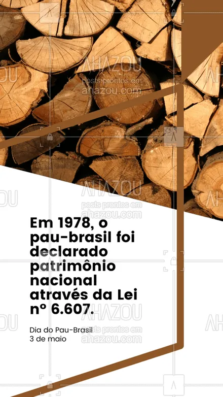posts, legendas e frases de ensino particular & preparatório para whatsapp, instagram e facebook: Por muito tempo, o extrativismo do pau-brasil ocorreu em todo o país, mas em 1978 esse quadro mudou e essa árvore foi declarada patrimônio nacional. Essa mesma lei estipulou o dia 3 de maio como a data oficial do pau-brasil. E é por isso que hoje celebramos essa árvore tão linda e que carrega com ela todo o peso de nossa história. 🌳🇧🇷 #diadopaubrasil #paubrasil #brasil #espéciebrasileira #árvore #AhazouEdu #educação 