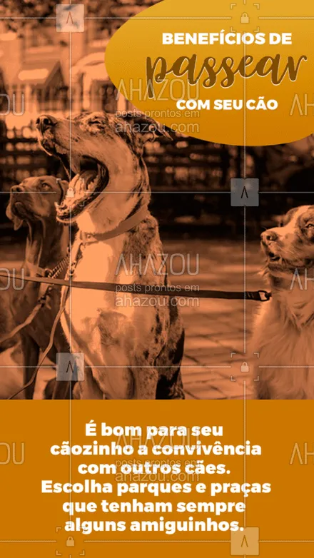posts, legendas e frases de assuntos variados de Pets para whatsapp, instagram e facebook: Saiba dos benefícios de levar seu cãozinho para passear!
#ahazou #cachorros #pet #animaisdeestimacao #passeio