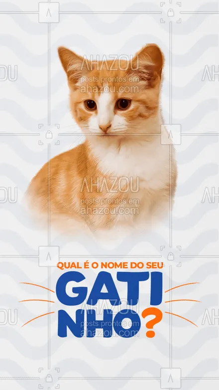posts, legendas e frases de assuntos variados de Pets para whatsapp, instagram e facebook: Meoww! Qual é o nome do seu gatinho? ❤️?
#AhazouPet #cats #ilovepets #AhazouPet 