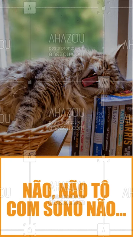 posts, legendas e frases de dog walker & petsitter, veterinário, petshop para whatsapp, instagram e facebook: Foco, força e fé!  #ahazou  #ahazoupet  #sono  #meme  #cat  #gato  #pet  #petlover  #petcare