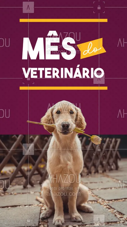 posts, legendas e frases de assuntos variados de Pets para whatsapp, instagram e facebook: Setembro chegou e com ele o mês do veterinário, por isso desejamos a todos os veterinários os parabéns por cuidarem tão bem dos pets. #mesdoveterinario #motivacional #AhazouPet  #petlovers