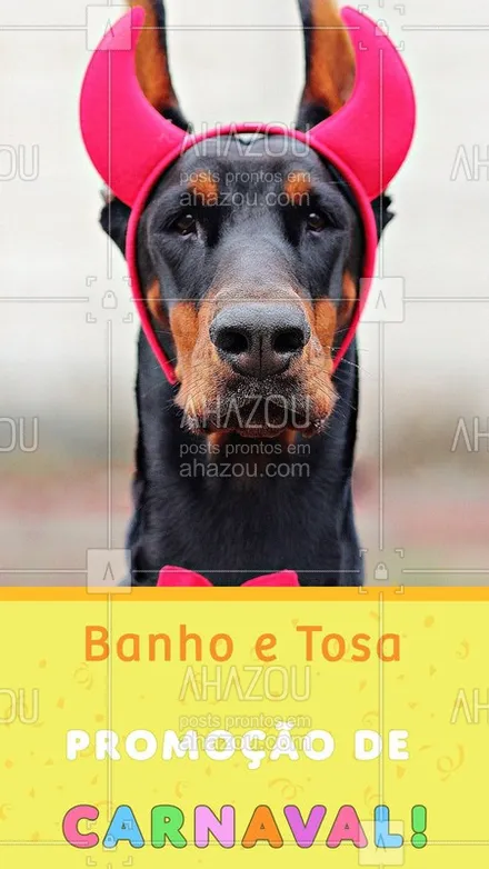 posts, legendas e frases de petshop para whatsapp, instagram e facebook: O seu pet vai arrasar no carnaval!Venha conferir ?? #ahazoupet #banho #tosa # dog