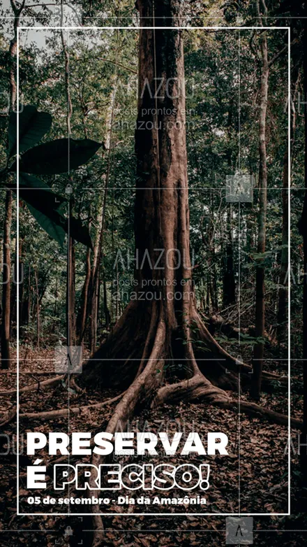 posts, legendas e frases de posts para todos para whatsapp, instagram e facebook:  Hoje é dia de celebrar a riqueza natural que é noss Amazônia. Patrimônio natural da humanidade, que merece ser respeitada e preservada! #amazoniaday #amazonia #sosamazonia#ahazou  #motivacionais