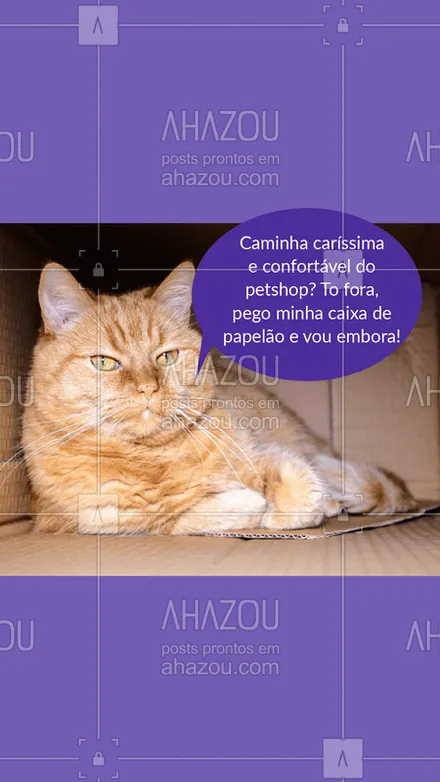 posts, legendas e frases de assuntos variados de Pets para whatsapp, instagram e facebook: Seu gato também despreza sua caminha comprada com tanto amor? hahahah ? #gato #ahazou #gatos #amogatos #pet #petshop