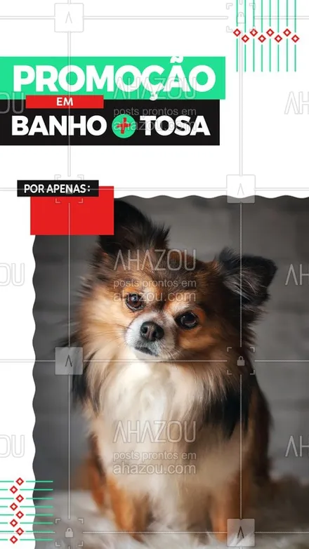 posts, legendas e frases de assuntos variados de Pets para whatsapp, instagram e facebook: Venham aproveitar nossa promoção em banho mais tosa do seu pet, agende já seu horário para seu dog! #BanhoeTosa #Ahazou #Dog 