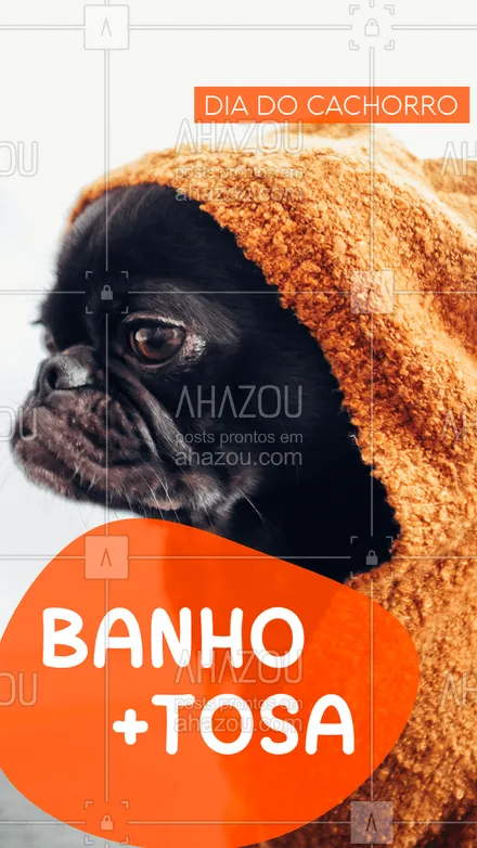 posts, legendas e frases de petshop para whatsapp, instagram e facebook: Promoção especial do dia! Aproveite nosso combo de banho e tosa por apenas R$X!
#Banho #AhazouPet #Tosa
