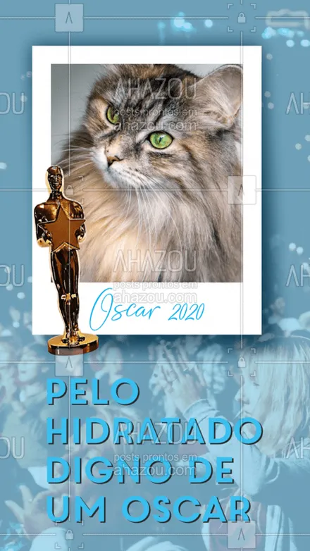 posts, legendas e frases de petshop para whatsapp, instagram e facebook: Seu pet quando sai do nosso pet shop é digno de um Oscar! Cheirosinho e hidratado <3 
#petlovers #ahazoupet #petlove #pet #oscars
