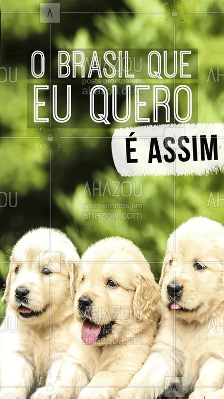 posts, legendas e frases de assuntos variados de Pets para whatsapp, instagram e facebook: Quem aí também acredita que só os filhotes fofos podem salvar o Brasil? ?? #cachorro #filhote #puppy #ahazoupet #animais #petshop